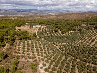 Masia a Iznalloz. Preciosa finca con olivar y casas de turismo rural en sierra ara