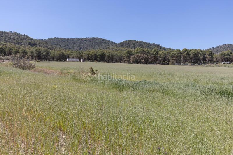 Foto 58806e3e-da50-433b-900c-811a4cc9d0fe. Finca rústica en carretera facirretama s/n se vende explotacion agrícolaganadera en pleno funcionamiento en Padul