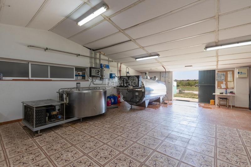 Foto 7e4ae24d-7743-4a71-972a-cb79b980ba06. Finca rústica en carretera facirretama s/n se vende explotacion agrícolaganadera en pleno funcionamiento en Padul