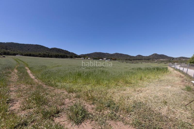 Foto 838caddd-76f5-4993-9875-975bb198c039. Finca rústica en carretera facirretama s/n se vende explotacion agrícolaganadera en pleno funcionamiento en Padul