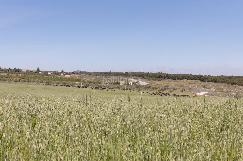 Foto 98ae8ed9-11a2-457f-b942-ce6138746110. Finca rústica en carretera facirretama s/n se vende explotacion agrícolaganadera en pleno funcionamiento en Padul