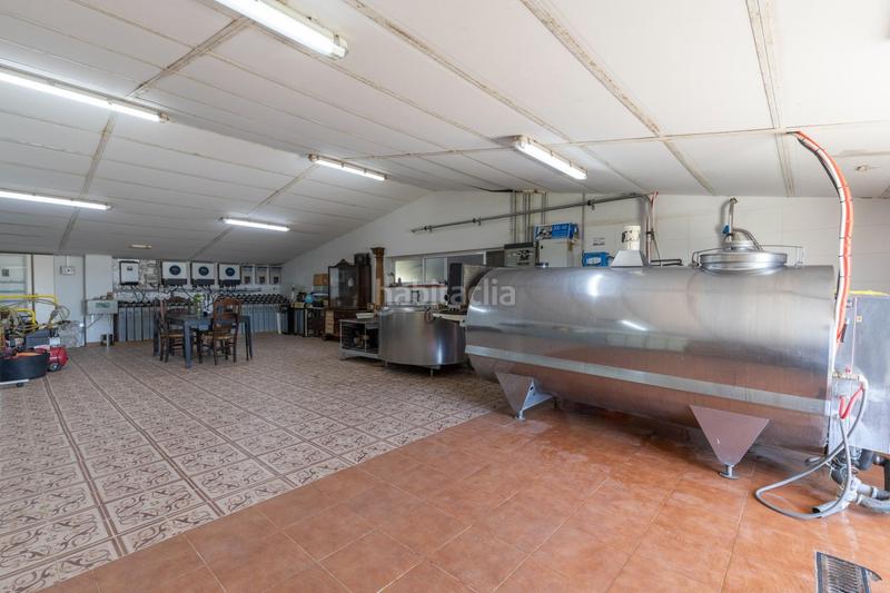 Foto a10ffdd5-8bc4-44fd-9dc7-720d0e2e5b0e. Finca rústica en carretera facirretama s/n se vende explotacion agrícolaganadera en pleno funcionamiento en Padul