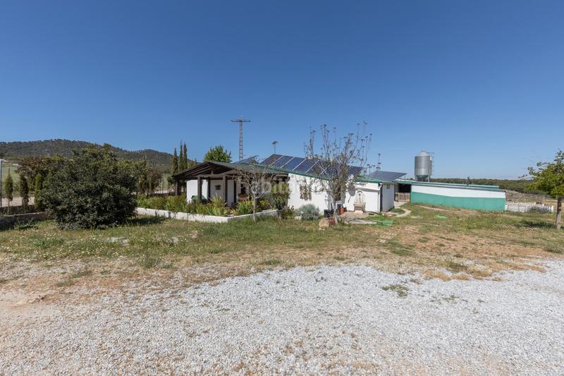 Foto a86acabf-4f92-4f02-9733-e82844ff9b34. Finca rústica en carretera facirretama s/n se vende explotacion agrícolaganadera en pleno funcionamiento en Padul