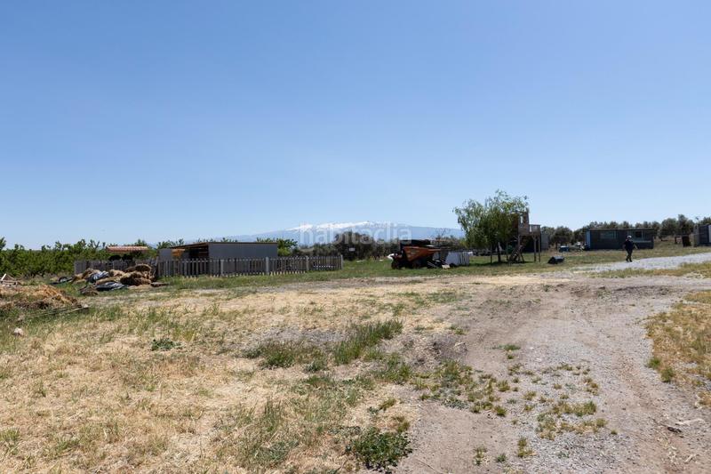 Foto a93d22a7-9fc9-40e4-bc6a-491bcc9dac0c. Finca rústica en carretera facirretama s/n se vende explotacion agrícolaganadera en pleno funcionamiento en Padul
