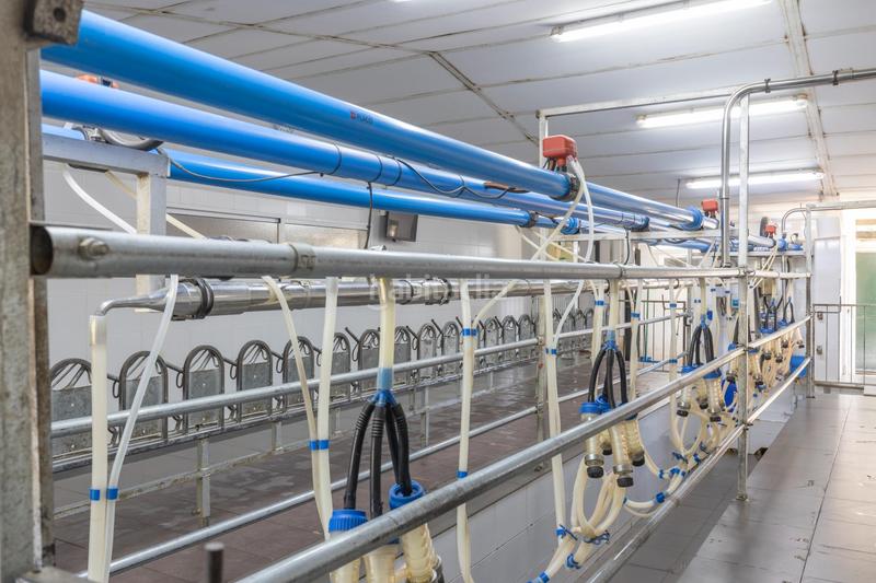 Foto c8dd3a8a-7ace-41c0-9e14-80ca85956557. Finca rústica en carretera facirretama s/n se vende explotacion agrícolaganadera en pleno funcionamiento en Padul