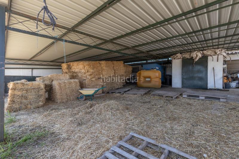 Foto c99dddf6-4fec-4378-9c68-b9d0e4d63fd8. Finca rústica en carretera facirretama s/n se vende explotacion agrícolaganadera en pleno funcionamiento en Padul