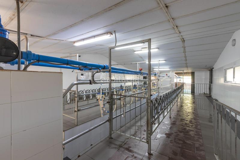 Foto ca238282-0012-42f8-87a0-da4989a36d67. Finca rústica en carretera facirretama s/n se vende explotacion agrícolaganadera en pleno funcionamiento en Padul