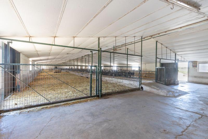 Foto e1922aaa-f9f4-45fc-8886-16bc90419e4c. Finca rústica en carretera facirretama s/n se vende explotacion agrícolaganadera en pleno funcionamiento en Padul