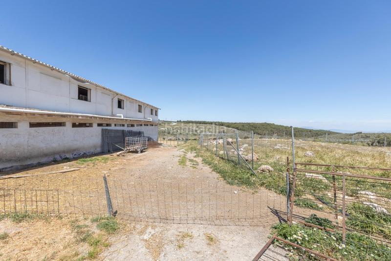 Foto e74adf28-d698-43df-b52b-39373cc8fa49. Finca rústica en carretera facirretama s/n se vende explotacion agrícolaganadera en pleno funcionamiento en Padul