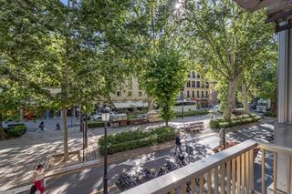 Location Bureau à San Matías - Realejo. Quieres trabajar en el centro?