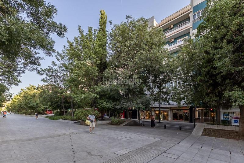 Foto 9f039b3b-f404-4b9c-be24-fe8dcdda2c0d. Affitto appartamento in Pajaritos Granada