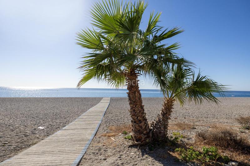 Foto 837ee25b-1fb5-49dc-9834-bb21ab47e3a1. Chalet dans Calahonda - Carchuna Motril