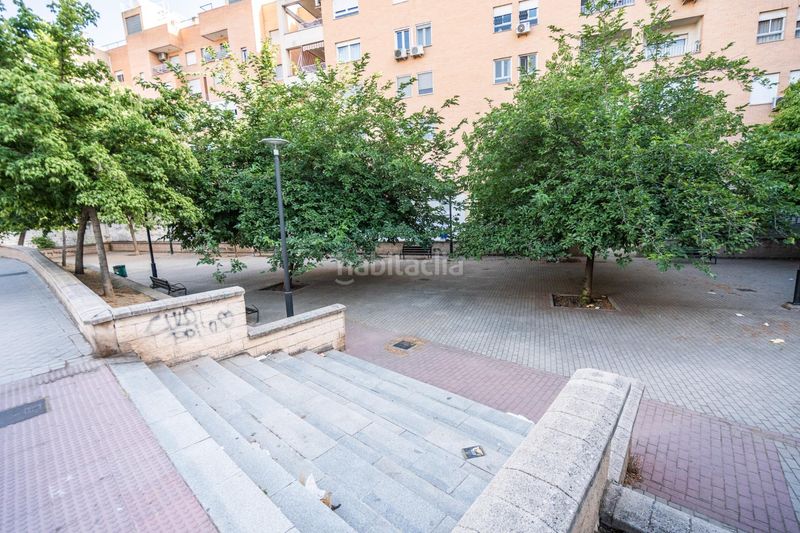 Foto 6011a14c-a4ab-44dd-9f09-d21e0d4e885c. Loft amb calefacció a Angustias - Chana - Encina Granada