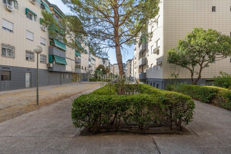 Foto a8072b1c-59c3-4757-a3db-b624efe74998. Piso en calle blasco ibañez 20 piso de 3 dormitorios con piscina comunitaria en Maracena