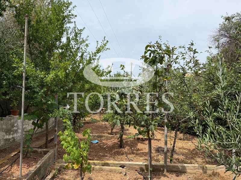 Foto 075943f8-8cea-4658-a0c8-036952846aa0. Xalet amb aparcament piscina a Limonar Málaga