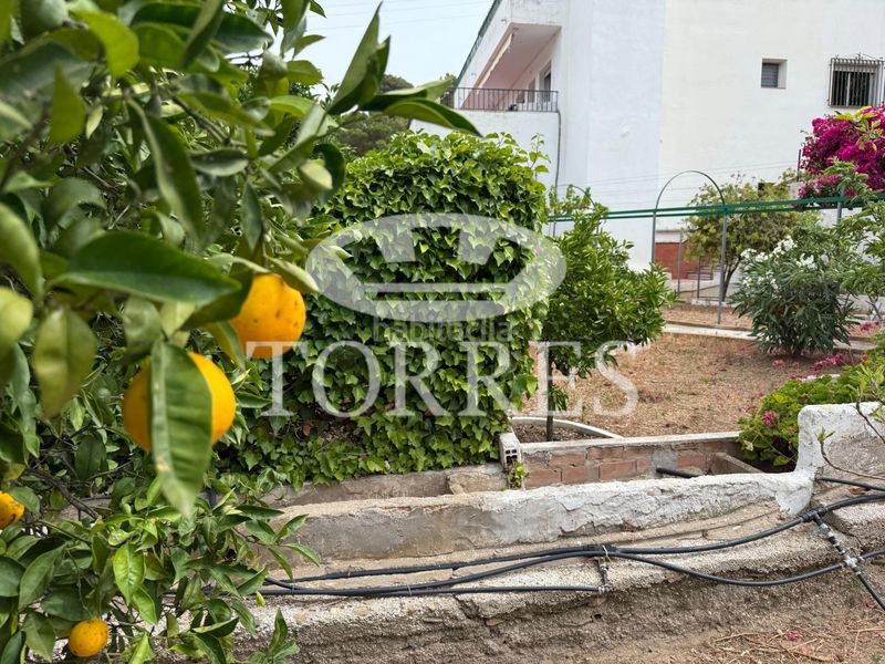 Foto 88e49d0a-3c9b-4ed4-af39-1f2c962d86eb. Xalet amb aparcament piscina a Limonar Málaga