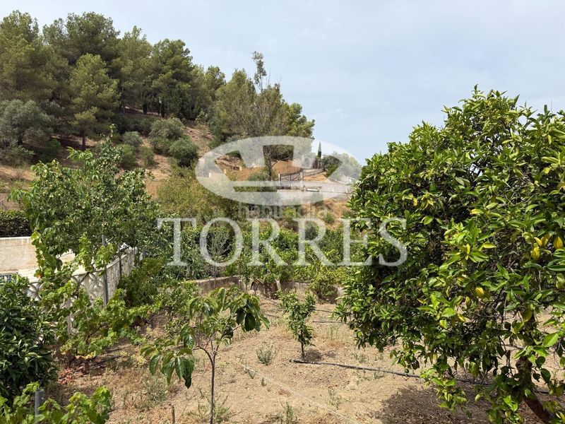 Foto 98fac993-4e45-40bb-91e7-d7046f683ffd. Xalet amb aparcament piscina a Limonar Málaga