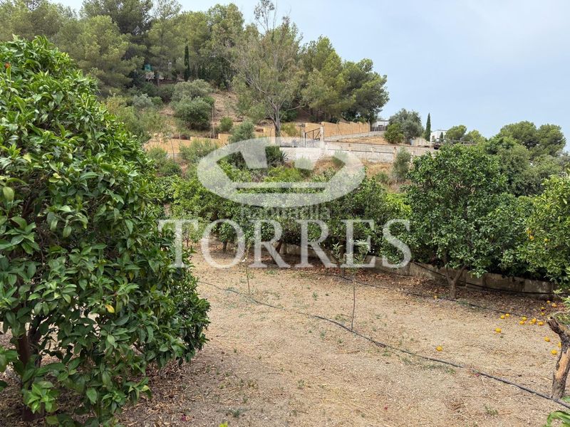 Foto a564f4b3-adb4-4ad5-8325-e81b3d3af9a9. Xalet amb aparcament piscina a Limonar Málaga