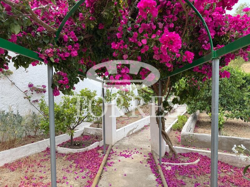 Foto cd0d6ec5-7de3-4614-a6e7-4ad907f507d7. Xalet amb aparcament piscina a Limonar Málaga