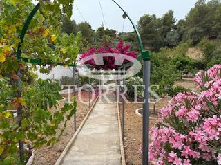 Xalet a Limonar. Chalet en los montes de málaga