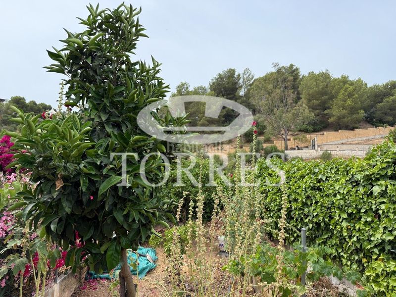 Foto d1c5cb1f-9ad2-498d-8681-f5a76d979f2c. Xalet amb aparcament piscina a Limonar Málaga