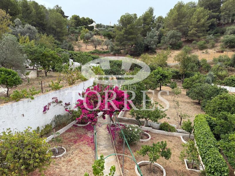 Foto e9b1a5a3-ac73-4ad8-9272-cc374a3cc256. Xalet amb aparcament piscina a Limonar Málaga