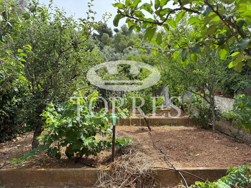 Foto efc01f72-609a-493f-902c-c8cac1319635. Xalet amb aparcament piscina a Limonar Málaga