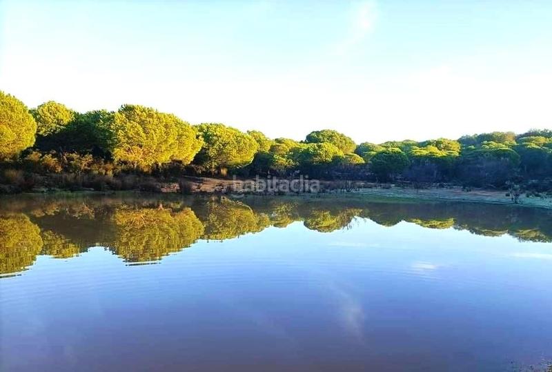 Foto 295db37d-cdea-4cd0-9fdc-e6e69e38fe50. Casa amb piscina a El Portil