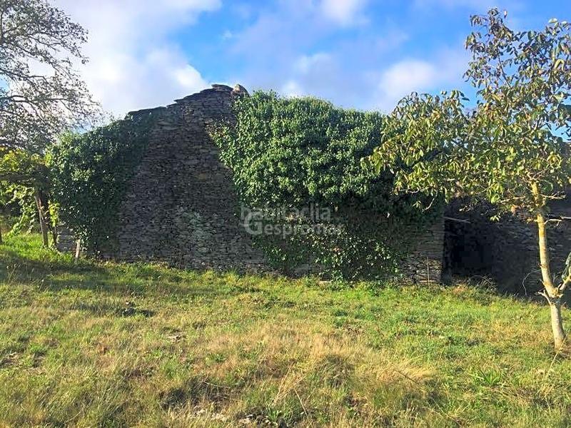 Foto e22fed71-c93d-4462-86c4-672f7e25eaa9. Masia a Ribas de Sil