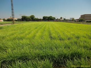 Finca rstica en Foios