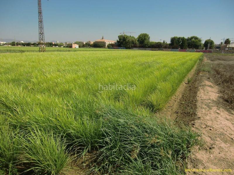 Foto 1767d105-3f28-4868-936a-b9ced9445723. Finca rústica en Foios