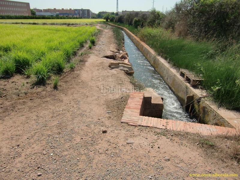 Foto c62f7299-9bdb-4320-8854-03e7d9db59bb. Finca rústica en Foios