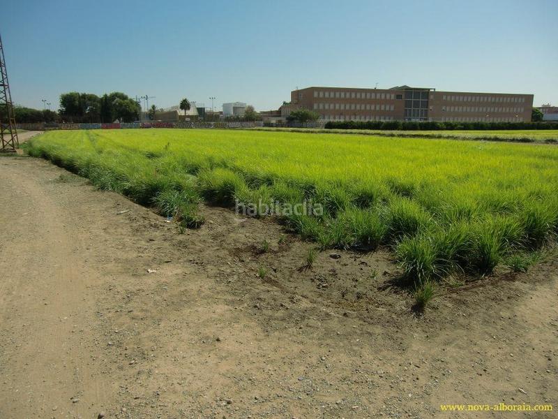 Foto d36b6be1-a887-45d8-bff7-89355a1154a9. Finca rústica en Foios