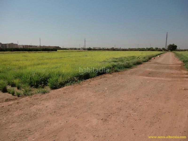 Foto d593ae0e-21d9-40b4-bf2a-b27ef1f028c6. Finca rústica en Foios