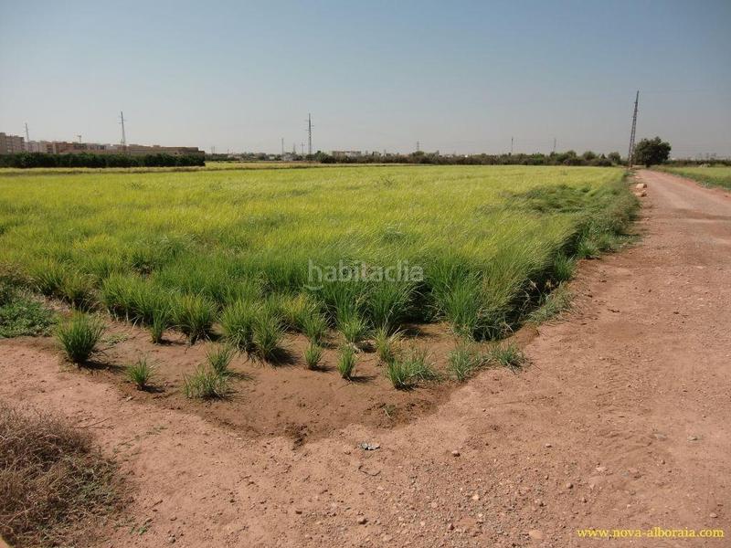 Foto e66dd123-44fe-4ced-afaf-fd863c30d77c. Finca rústica en Foios