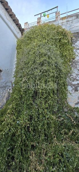 Foto ffe9cd1f-cf39-4828-b2c8-02d997bd2645. Casa a Archidona