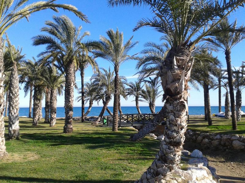 Foto e7bfbd9f-7df5-419c-b81e-d769fa63cb6b. Estudio venta de estudio , málaga, costa del sol en Torremolinos