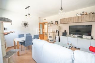 Affitto Appartamento in Los Molinos