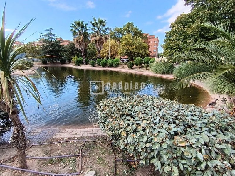Foto 4c0c001e-a2bf-4a17-9396-ab8cdce83a7e. Àtic amb aparcament piscina a Juncal Torrejón de Ardoz