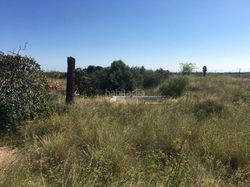 Foto 4290efef-d639-4e46-8da0-f7a5f28a6f71. Wohngrundstück in castell vell 150 in Pau Lledó Castellón de la Plana