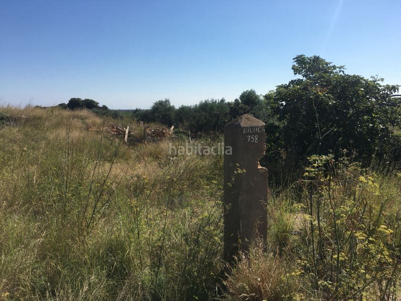 Foto 93f2754f-0c1b-4080-b44a-6d108992a832. Wohngrundstück in castell vell 150 in Pau Lledó Castellón de la Plana