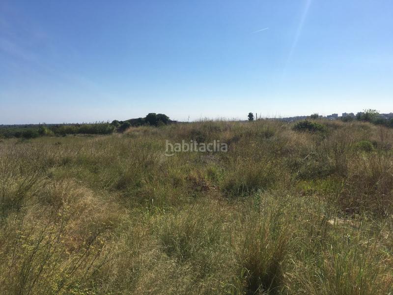 Foto ca4e646e-a488-4efe-8729-24c8c4e0f0d1. Wohngrundstück in castell vell 150 in Pau Lledó Castellón de la Plana