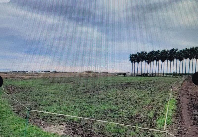 Foto 1295bcd8-0f58-41fe-a2e4-c17175786799. Terreno residenziale in puntarro 15 in Almenara