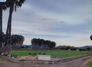 Terreny residencial a Puntarro 15. Terreno rústico en venta en almenara.