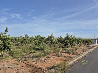 Terreny residencial a 12