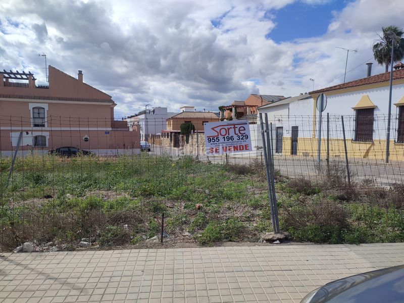 Foto 8d692e4e-ec6c-44b3-a714-5c707090ff7a. Terreny residencial a Brenes
