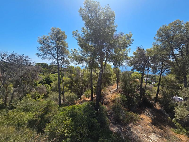 Foto 03377578-7a05-4a5a-9600-ed46a0c690b3. Terrain résidentiel dans calle palmeras 5 dans Pinares de San Antón Málaga