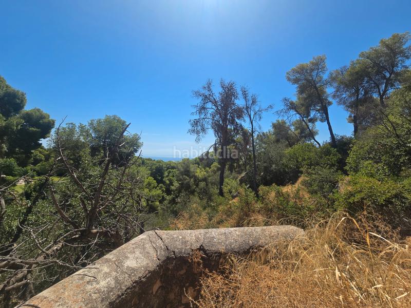 Foto 12c4a611-d129-471a-b87e-94c4f20d8b49. Terrain résidentiel dans calle palmeras 5 dans Pinares de San Antón Málaga