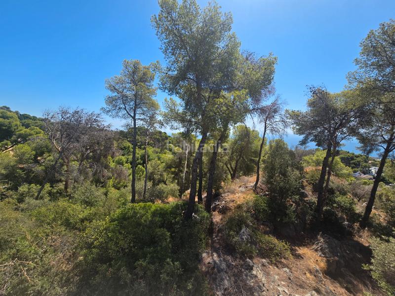 Foto 9f3b4ac1-7ab1-4520-945c-185c106da3fb. Terrain résidentiel dans calle palmeras 5 dans Pinares de San Antón Málaga