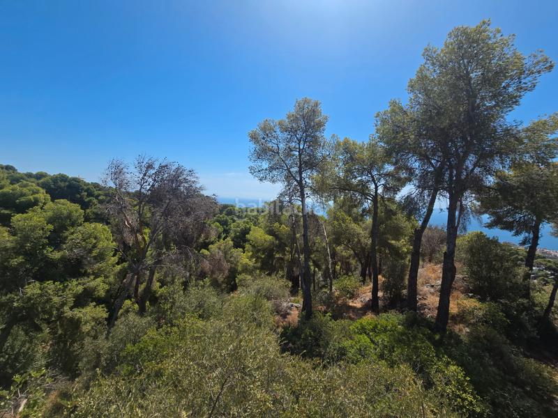 Foto c7007872-1af7-49c0-8672-4e22cd75a99a. Terrain résidentiel dans calle palmeras 5 dans Pinares de San Antón Málaga